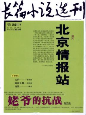 長(zhǎng)篇小說(shuō)選刊